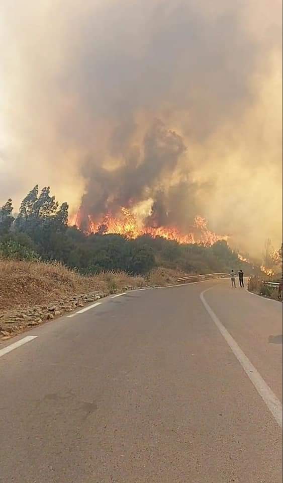 pagekabyle's tweet photo. La Kabylie Brûle en ce moment 🔥 https://t.co/a8WbndsBIn