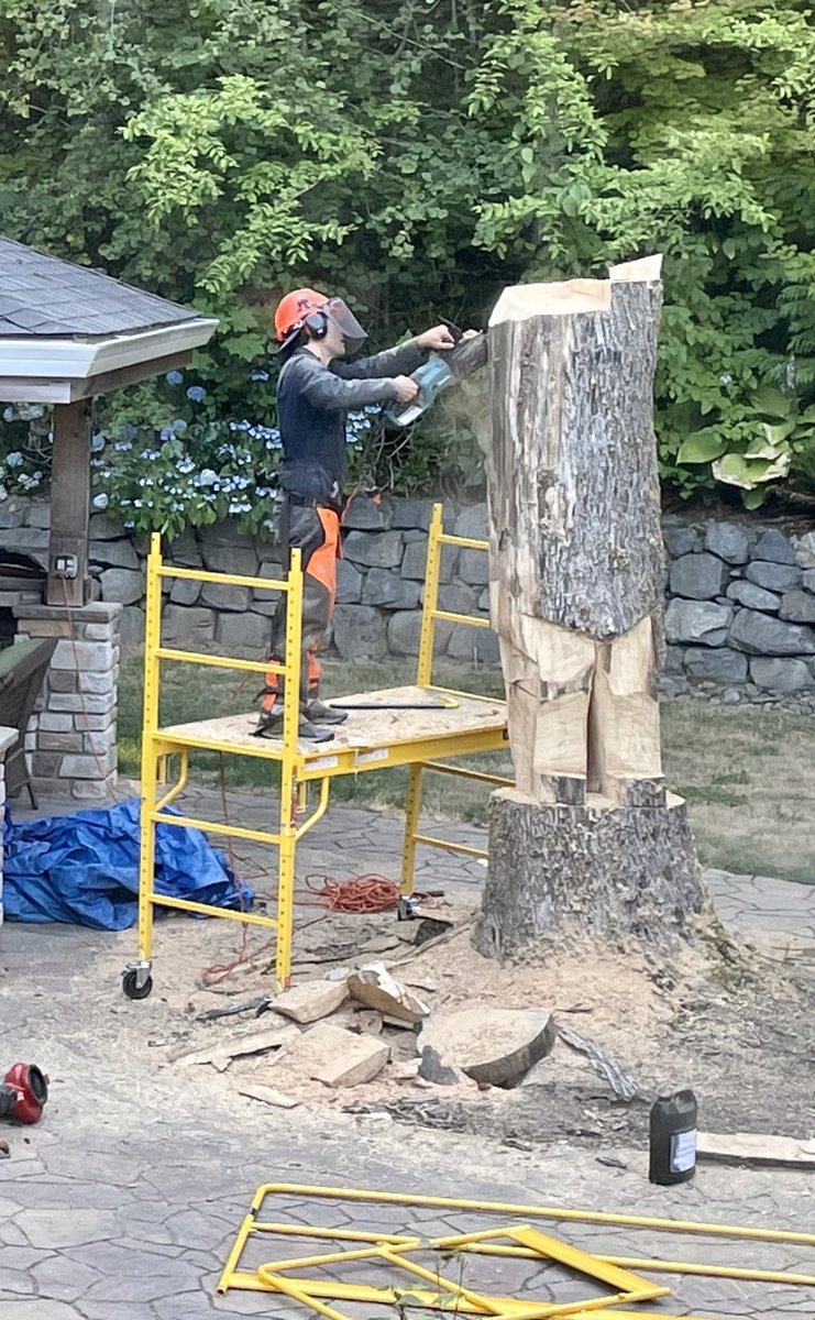 James Beckerman, MD tweet media