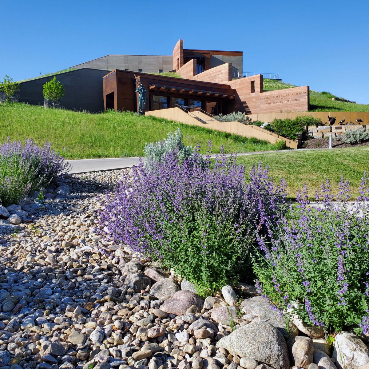 Thank you to Best Western Sheridan Center for partnering with us to provide lodging for our guest artists and program participants!

#communitypartnership