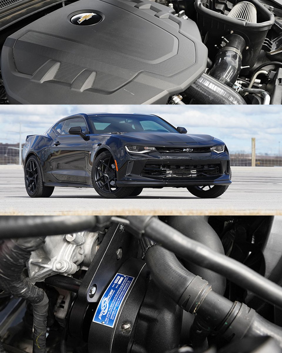 Phastek (@phastek) on Twitter photo When you see that intercooler peeking out from the grille, you know it might be boosted with a <a href="/ProCharger/">ProCharger Superchargers</a> Superchargers. From a boosted V6 to adding more boost to your ZL1, ProCharger has you covered.
bit.ly/3rTcGv3
#Phastek #Camaro #Chevrolet #ProCharger #Boosted When you see that intercooler peeking out from the grille, you know it might be boosted with a <a href="/ProCharger/">ProCharger Superchargers</a> Superchargers. From a boosted V6 to adding more boost to your ZL1, ProCharger has you covered.
bit.ly/3rTcGv3
#Phastek #Camaro #Chevrolet #ProCharger #Boosted