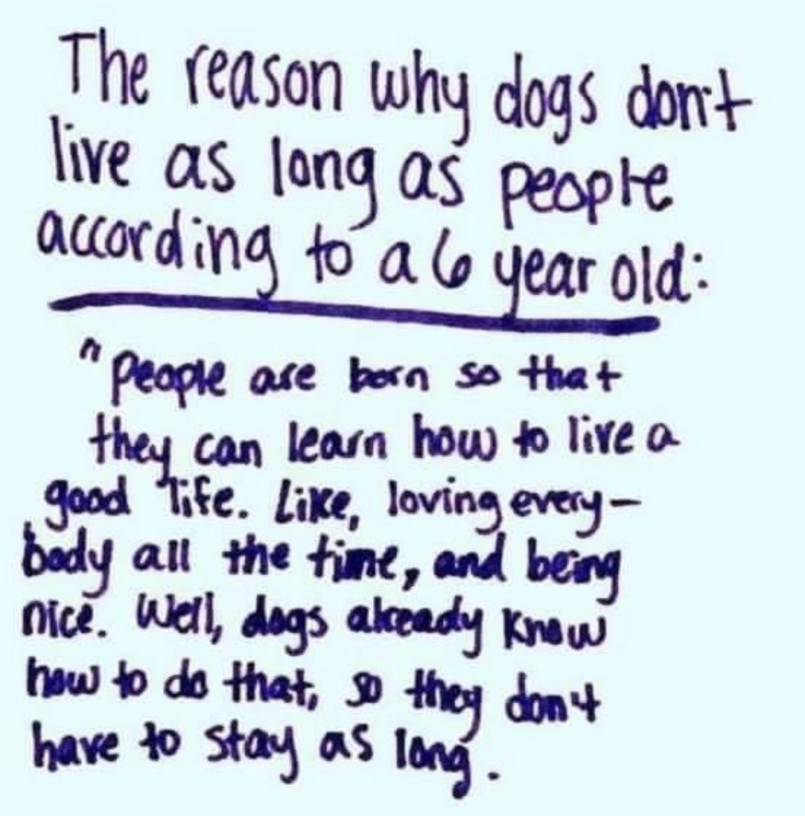 trebus_mr's tweet image. TROOF 😊🐶💞