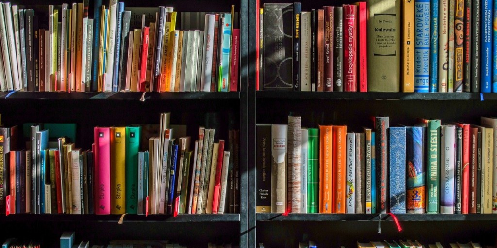 CSU_Biz's tweet image. Today is #NationalBookLoversDay... what has been your favorite read from a #CLEStateBiz class?