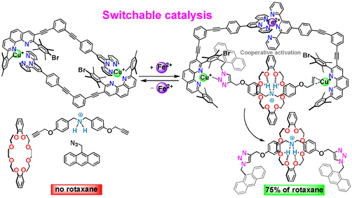 Angewandte Chemie (@angew_chem) on Twitter photo Cooperative Effects in Switchable Catalysis: Enhancing Double-Click Reaction Yield of Symmetrical Rotaxanes (Schmittel) <a href="/UniSiegen/">Universität Siegen</a> #openaccess thanks to #ProjektDEAL onlinelibrary.wiley.com/doi/10.1002/an… Cooperative Effects in Switchable Catalysis: Enhancing Double-Click Reaction Yield of Symmetrical Rotaxanes (Schmittel) <a href="/UniSiegen/">Universität Siegen</a> #openaccess thanks to #ProjektDEAL onlinelibrary.wiley.com/doi/10.1002/an…