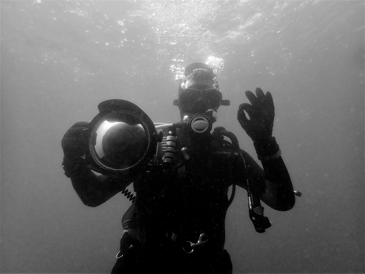 brad_wakefield's tweet photo. Not often someone photographs me, had to go to great depths to get this one! @Ikelite @CanonUKandIE @apeksgg https://t.co/bSat0tBMKr