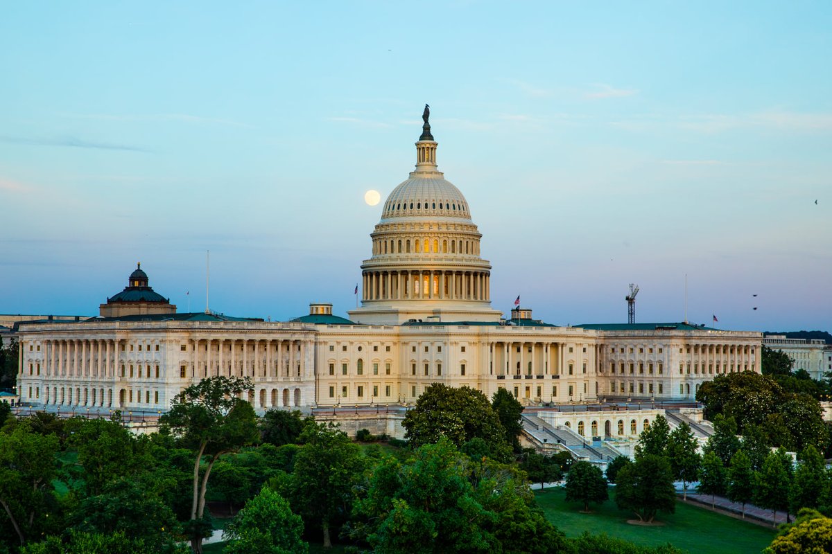 HillVets's tweet photo. DC Views > anywhere else! π€©β€οΈβ¨π₯
β’
β’
Photos by Lancer Photography
β’
β’
β’
#washingtondc #dcviews #capitolhill #washingtonmonument #uscapitol #tbt #views #mondayviews #washingtondcviews https://t.co/SGXcSHlHiH