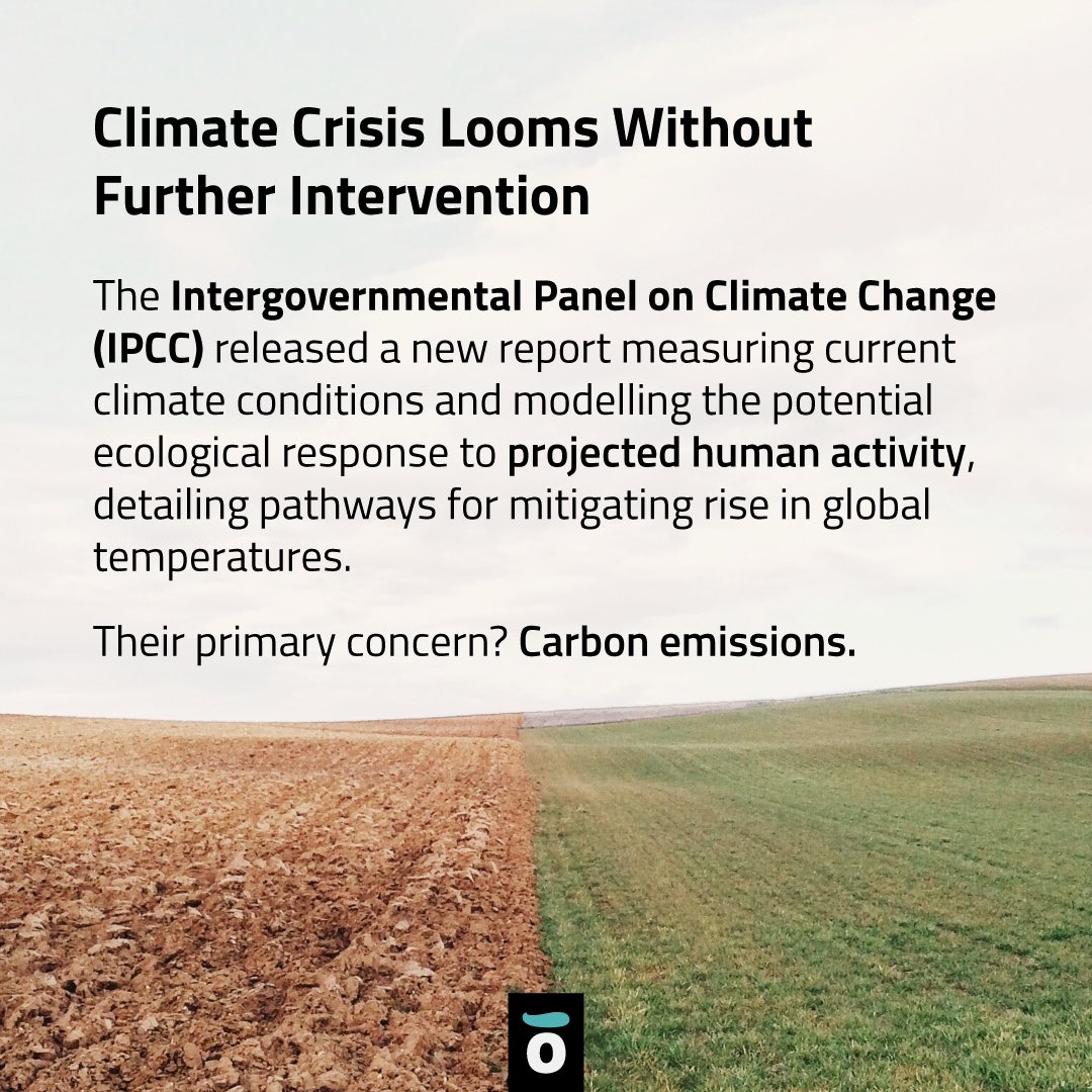 Algramo US tweet media