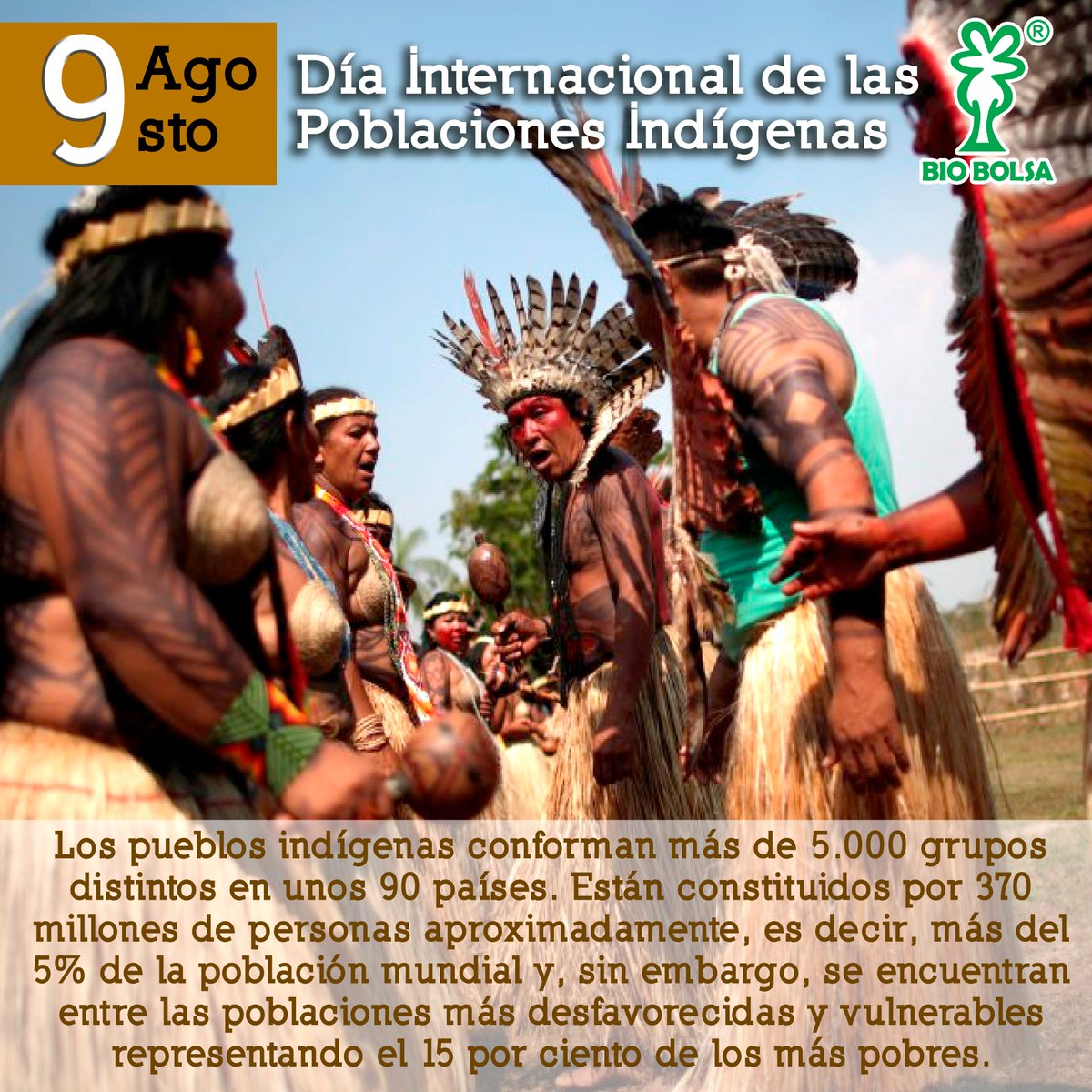 BIOBOLSASAS's tweet photo. #DíaPueblosIndígenas https://t.co/SWLFsTzdEW