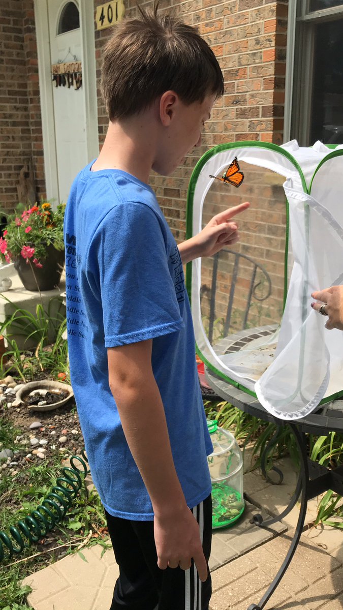 Jbmb155's tweet photo. We have been following Amber and her super cool and fascinating FB posts about butterflies and their entire life cycle.  We swung by her house as she did a butterfly release.  She was super sweet and let the kids all take turns releasing them. 🦋
#summerlearning
@LumosLearning https://t.co/XNahux9R0a