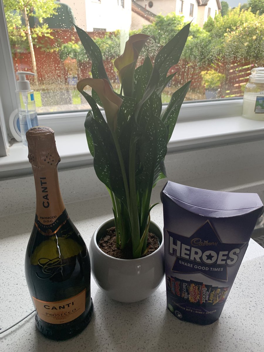 Carolin95115770's tweet photo. Loving level 0 already. Finally met a patient I have been supporting throughout the pandemic to come off her post op analgesia. Today I do like Mondays #pharmacistscare https://t.co/JF9DFwBaLR