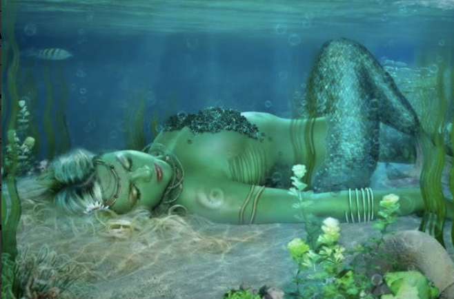 BVSBooks's tweet photo. RT @alicerauthor: Did anyone attend the MerMagic Convention last week end in VA? For those who missed it there are beautiful pics on Instagram! https://t.co/dwigJAuoD4 #mermagiccon #Mermaid If you like mermaids you'll love my Sea of Love #paranormalroma… https://t.co/j6cHdc8JOO