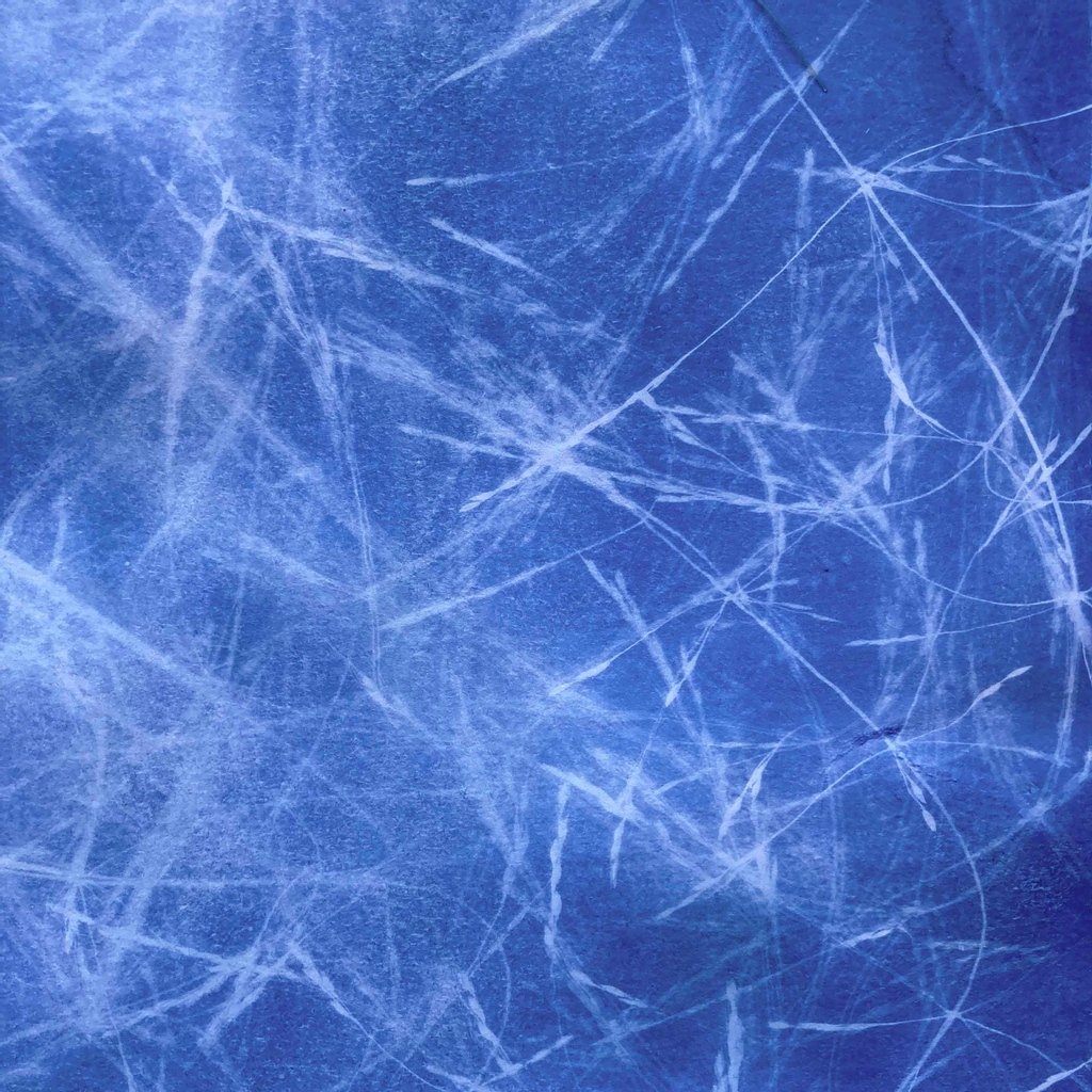 More Fun with Cyanotypes, this print captures grass blowing in the wind on a bright summers day. The concept of capturing light from movement of living plants became a new way of making inspired by that afternoon.