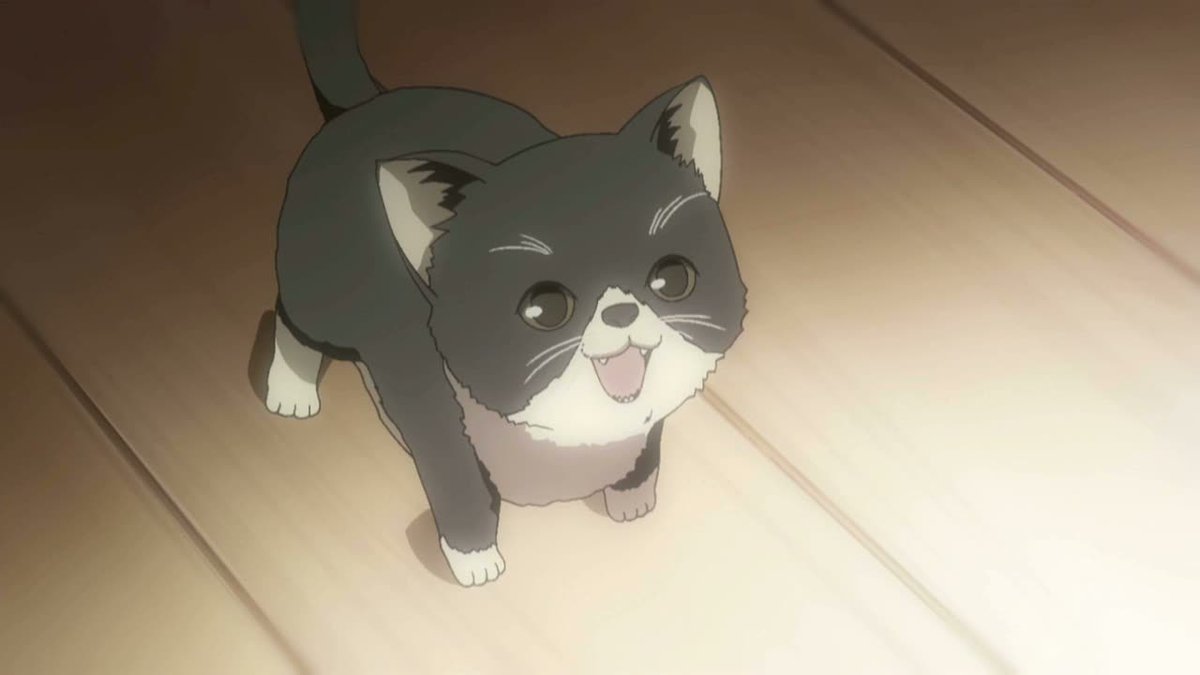 L0L0LDEV's tweet photo. anyways say hello to squish https://t.co/qSn4cH3B7J