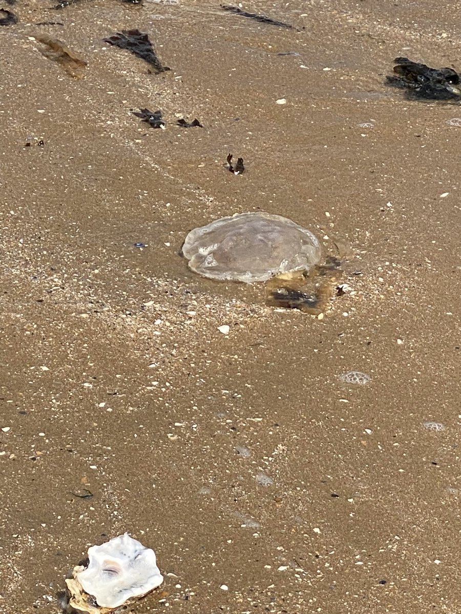 Jonathan Roomer tweet media