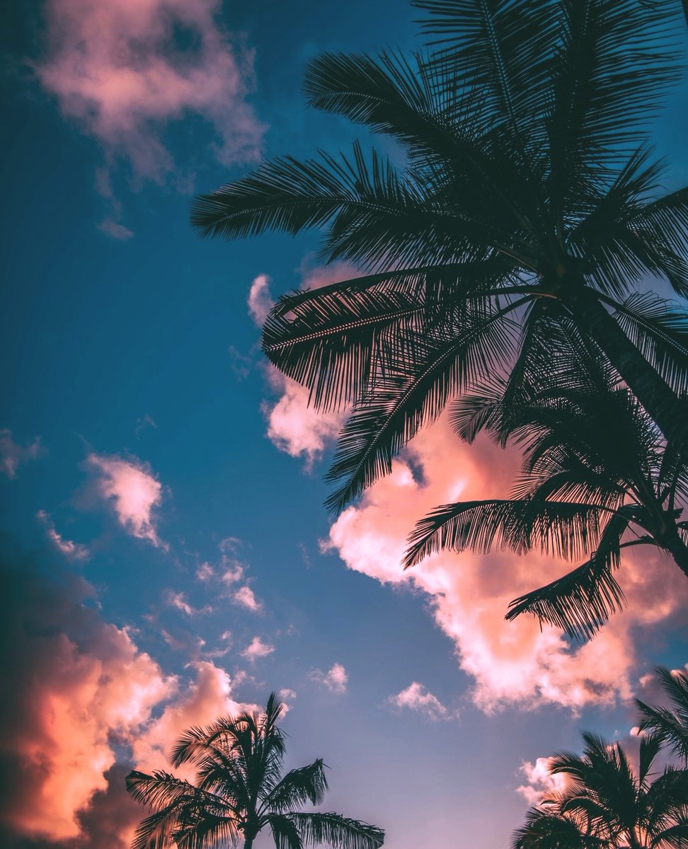 BeardlyMedia's tweet photo. Anyone else NOT looking forward to the end of summer? We only have about a month left before the fall weather hits. We need to enjoy these last few weeks of hot weather, beach days, and BBQs! 

#BeardlyMedia #Summer #Fall #August https://t.co/ll036m2VPZ