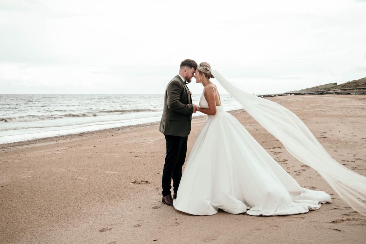 Brad Tuckfield tweet media