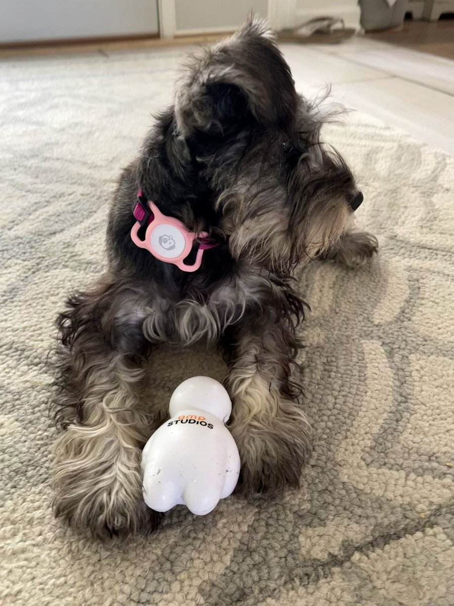 elepiech's tweet photo. Looks like my dog decided the company mascot is her favorite chew toy. 😬 🐾 

Sorry, @StudiosAtAMP! https://t.co/fJ4lehbNge
