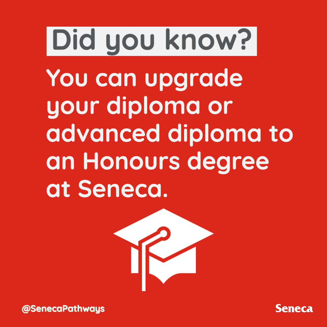 SenecaPathways's tweet image. Did You Know? 💡⁠
You can upgrade your diploma or advanced diploma to an Honours degree at Seneca College. 🎓⁠
⁠
Find the right pathway for you here: senecacollege.ca/pathways/guide… 💻 

#SenecaPathways #AcademicPathways #highereducation