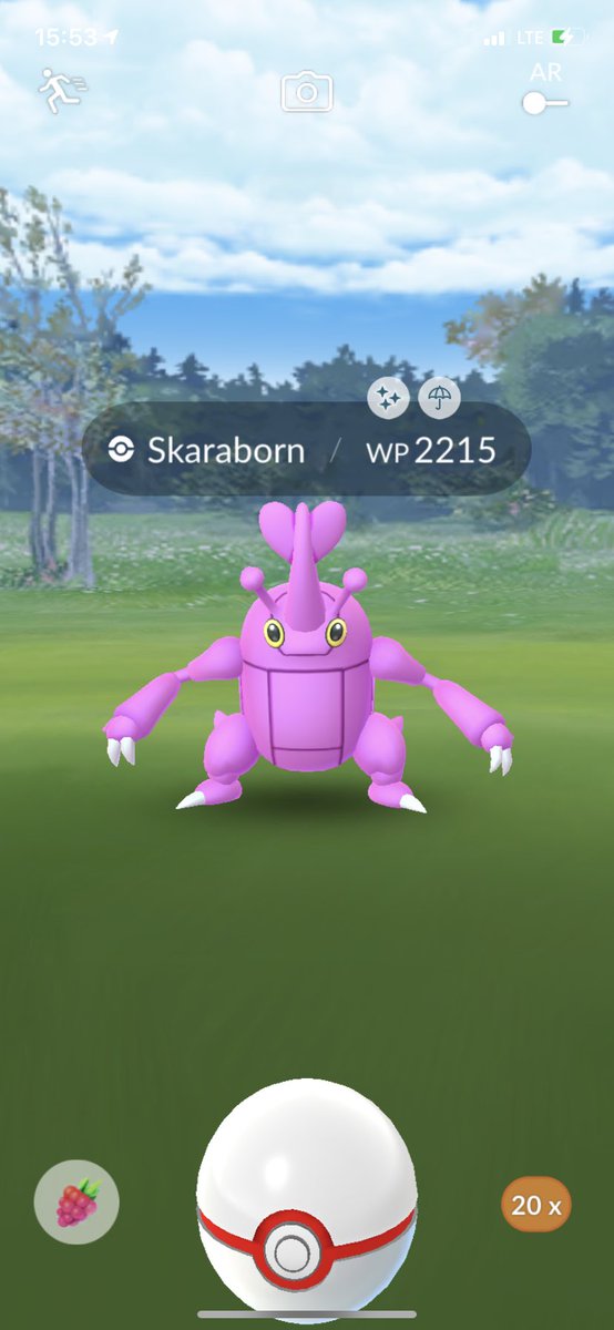 bjoern6290 tweet media