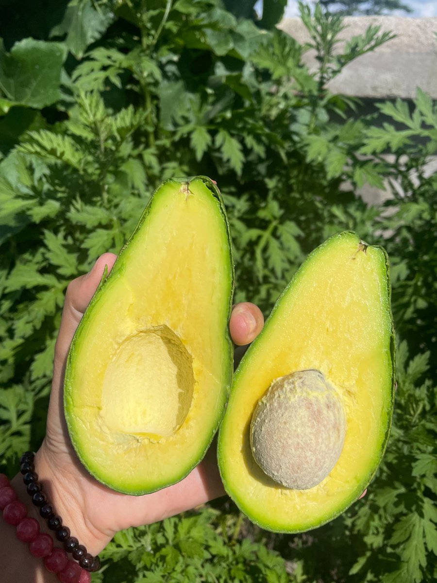 👩🏻‍🌾 ผลไม้ปลอดสารพิษของครอบครัว tweet media