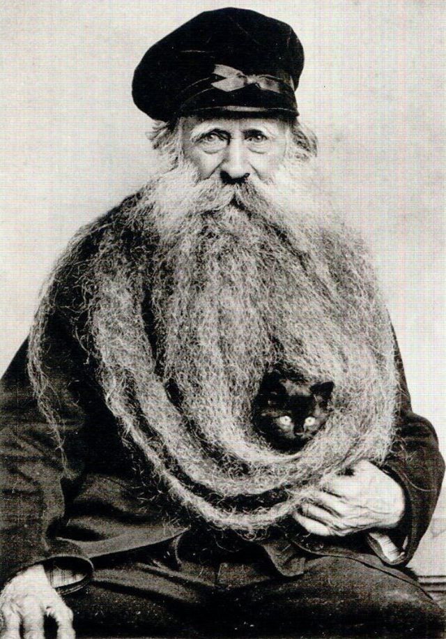 SketchesbyBoze's tweet photo. fellas, don't brag about the size of your beard unless there is a cat hidden inside it https://t.co/DjS24w26Cb