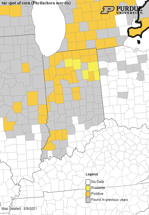 Darcy Telenko tweet media