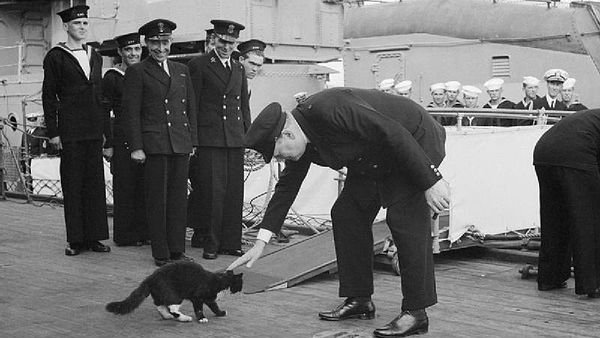 NavalInstitute's tweet photo. #OTD in 1941, Winston Churchill arrived in Newfoundland for the Atlantic Charter Conference with FDR. As Churchill prepared to board USS McDougal, he paused to pet 'Blackie' of HMS Prince of Wales to prevent the cat from crossing the gangway and defecting to the U.S. Navy. https://t.co/RTy2B5PiSx