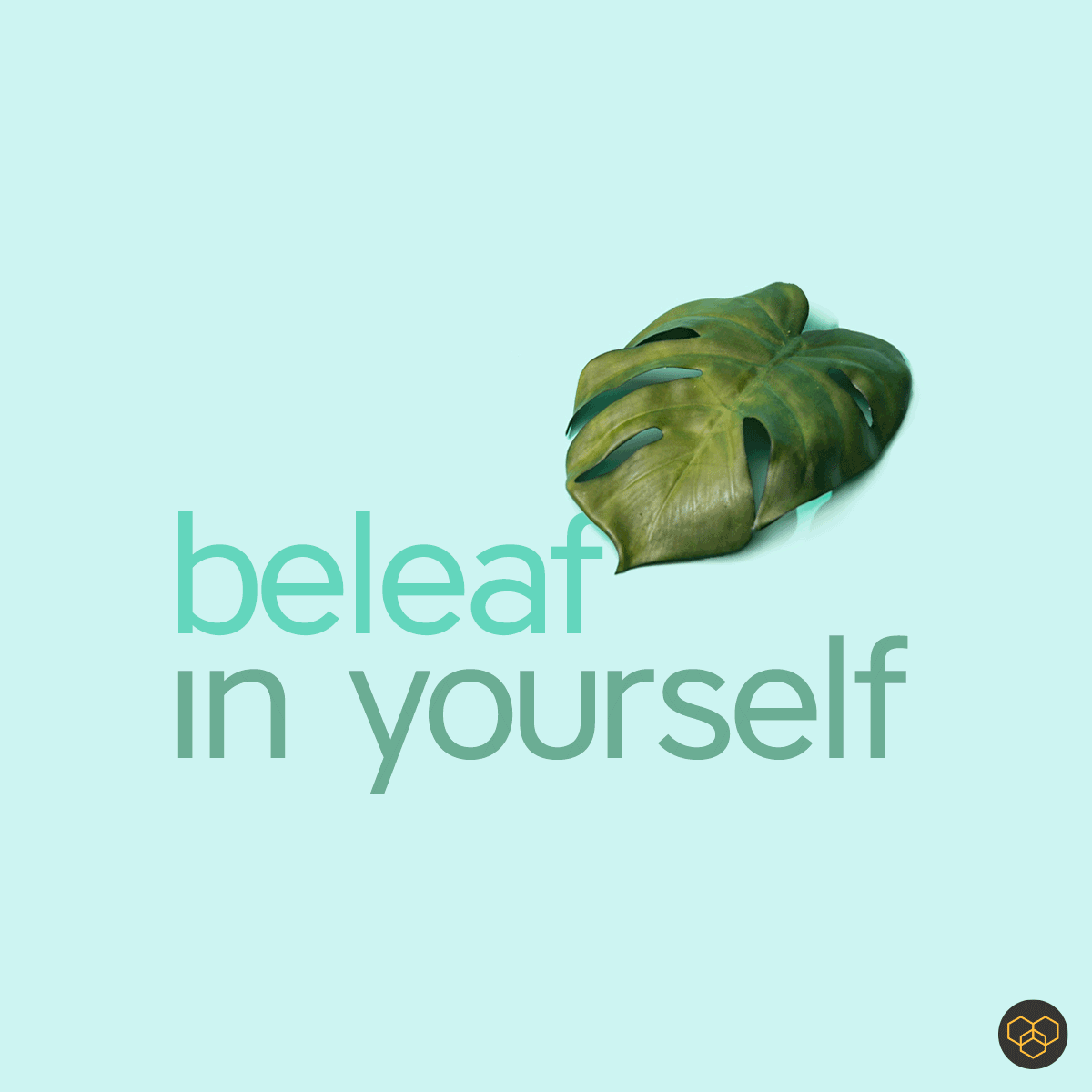 FreemanDesignTO's tweet photo. If you believe in yourself anything is possible.

#thursdayquote #thursdaythoughts #motivation #motivationalquotes #strength #monstera #plant #Leaf https://t.co/WCRlOytNov
