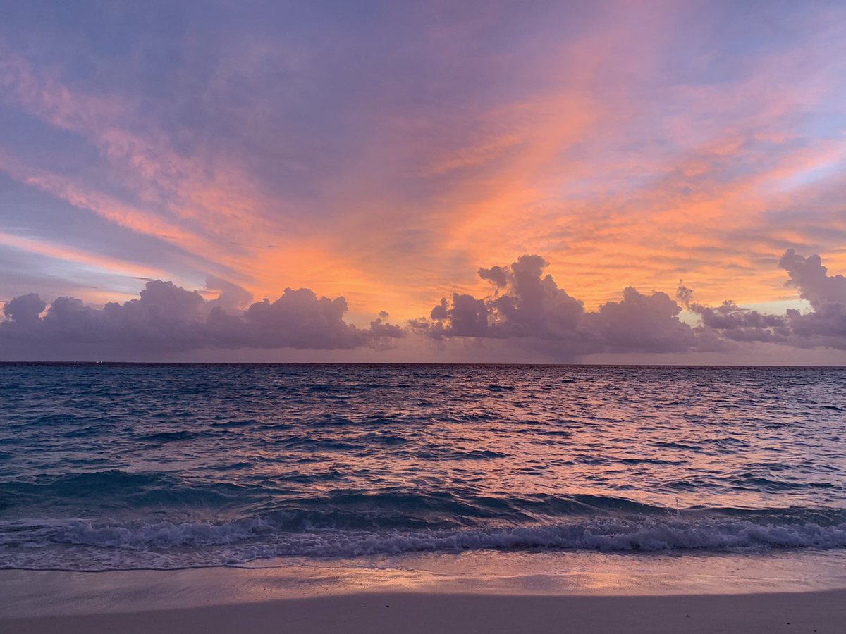 New Wave tweet media