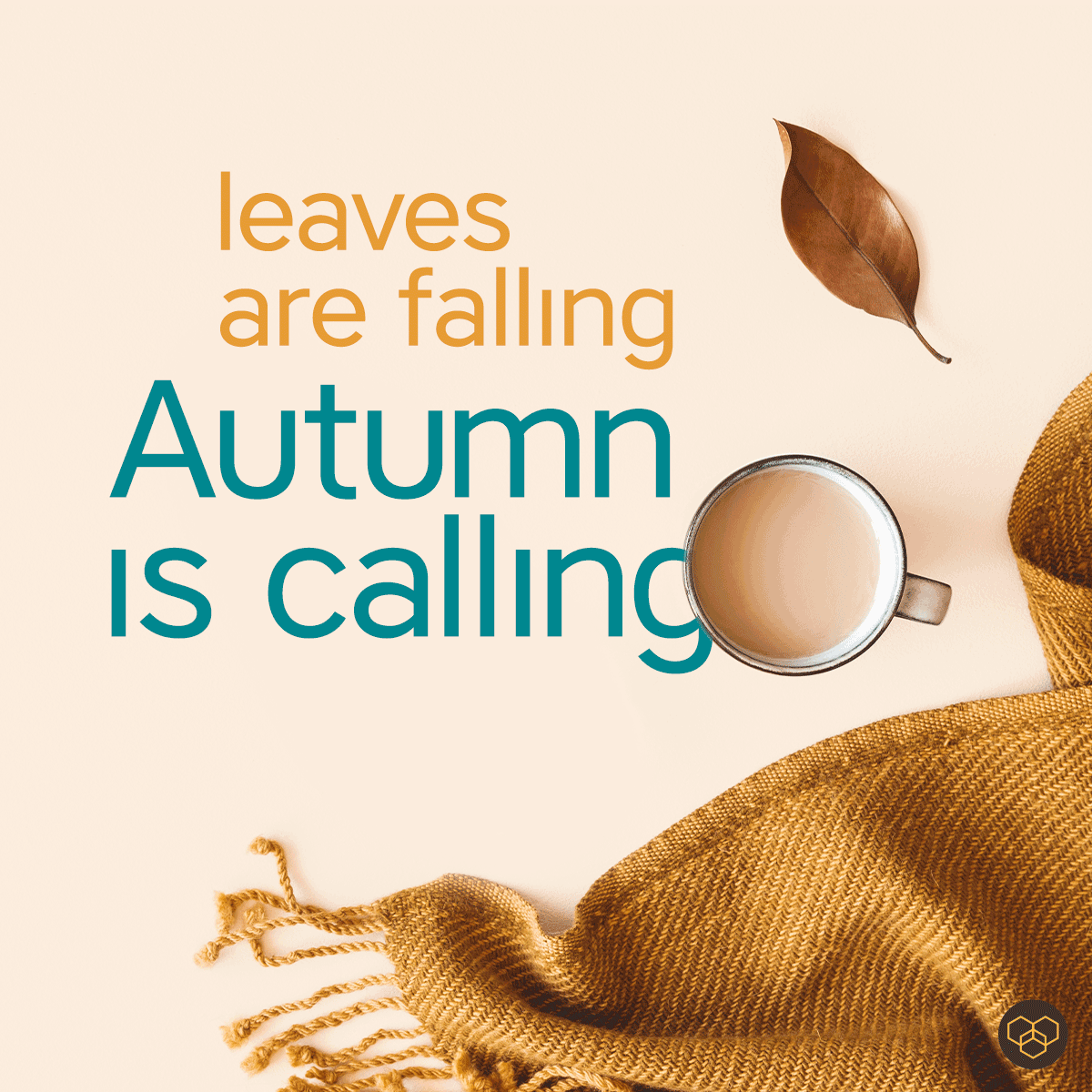 FreemanDesignTO's tweet photo. It's sweater and scarves season. Tomorrow marks the first day of fall. 

#AutumnMood #FallMood #fall #falltime #autumn #fallleaves #scarf #scarves #sweater #chunkysweater https://t.co/1t1qq1dMI4