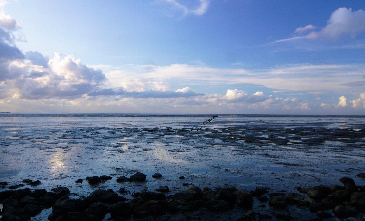 Wad Wierum avondsfeer <a href="/thewaddensea/">Waddenzee</a> <a href="/Waddenzeepuntnl/">Waddenzee.nl</a> <a href="/wadfotografen/">WADDENFOTO'S</a> <a href="/JanHuneman/">Waddenfotografie</a> <a href="/natuurvriendin/">natuurvriendin</a> <a href="/weerphotography/">weerphotography</a> <a href="/visitfriesland/">Visit Friesland</a>
