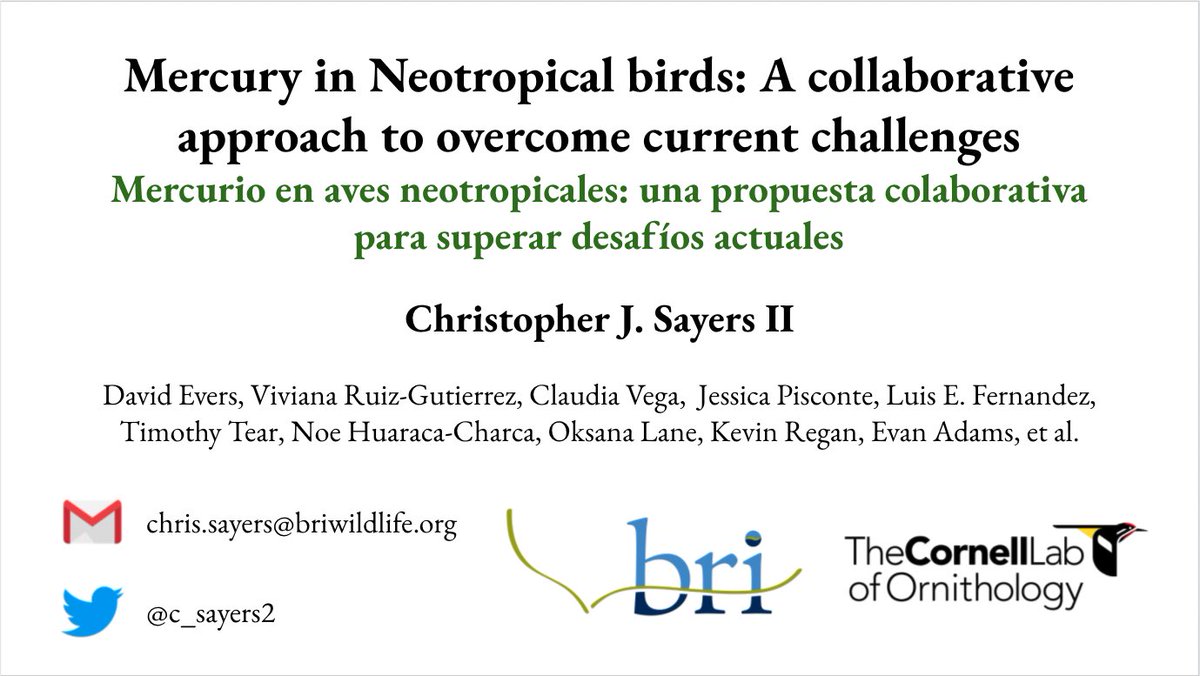 c_sayers2's tweet image. Tune into my talk on #mercury in neotropical birds at 2:39pm EST in the ‘Conservation 1’ session at #2021AOS_SCO. Hope to see you there!