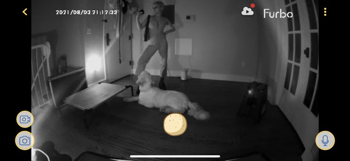 Spycam