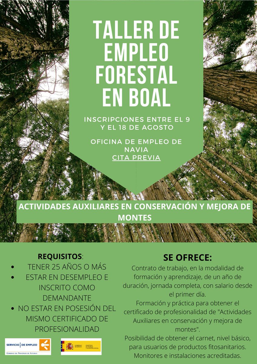 Si tienes 25 años o más y estás en desempleo, seguro que te interesa formarte y trabajar durante un año en el Taller de Empleo que pone en marcha el Ayuntamiento de Boal. Inscríbete en la oficina de empleo de Navia entre el 9 y el 18 de agosto.