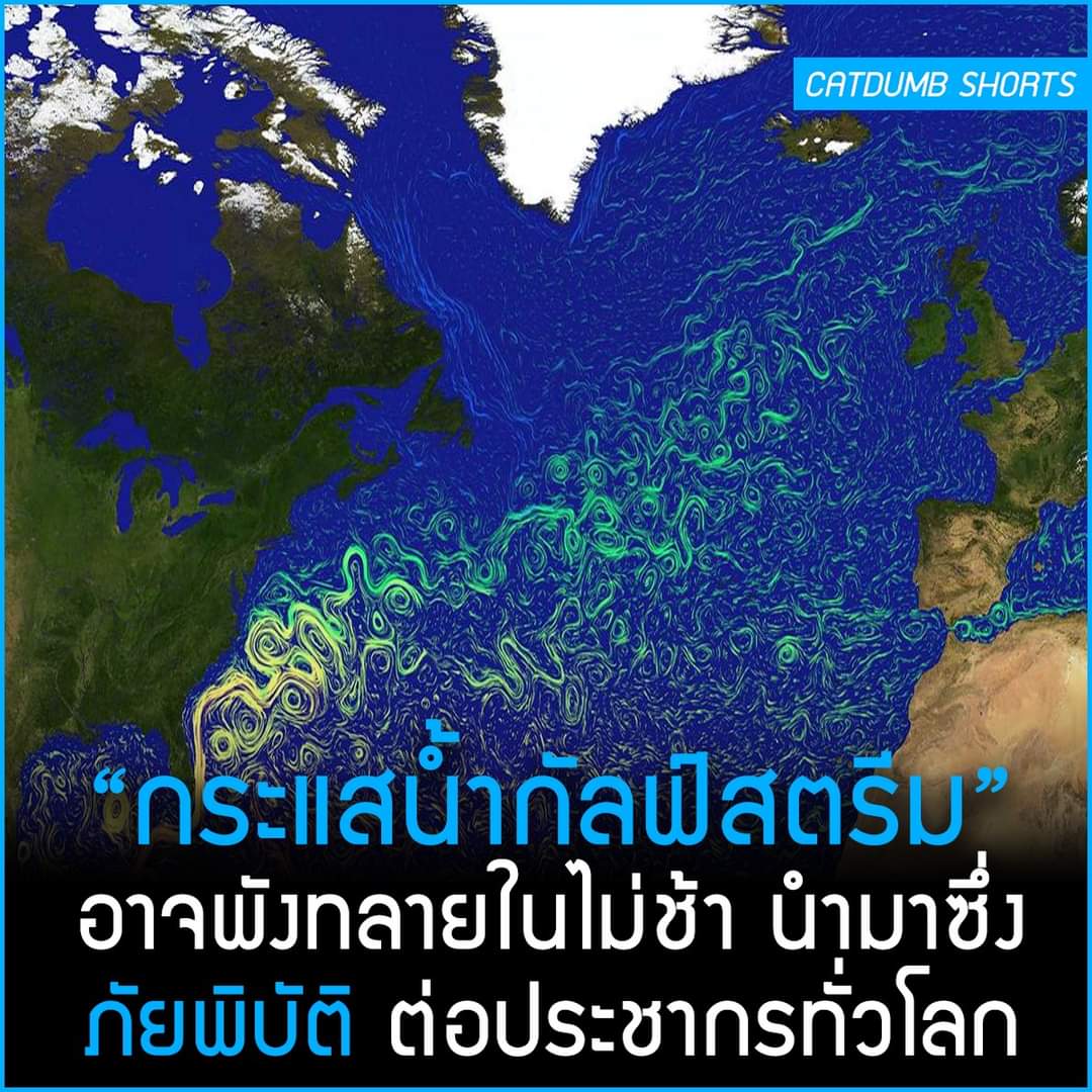 คนไทย : โลกแตกเลยก็ได้ กุพร้อมละ