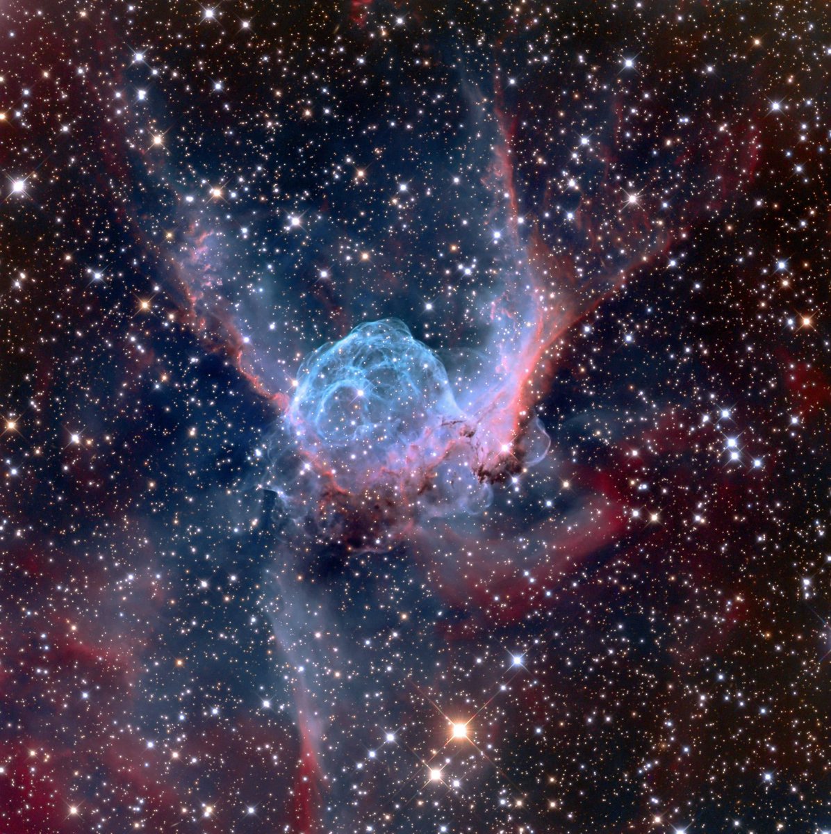 The Flying Eyeball nebula.
Also known as Thor’s Helmet, and the Head & Shoulders #nebula.

Credit: @ngc1535 (interesting username Adam!)

Info from #SkyGuide #astronomy https://t.co/0y1sFOhWC0