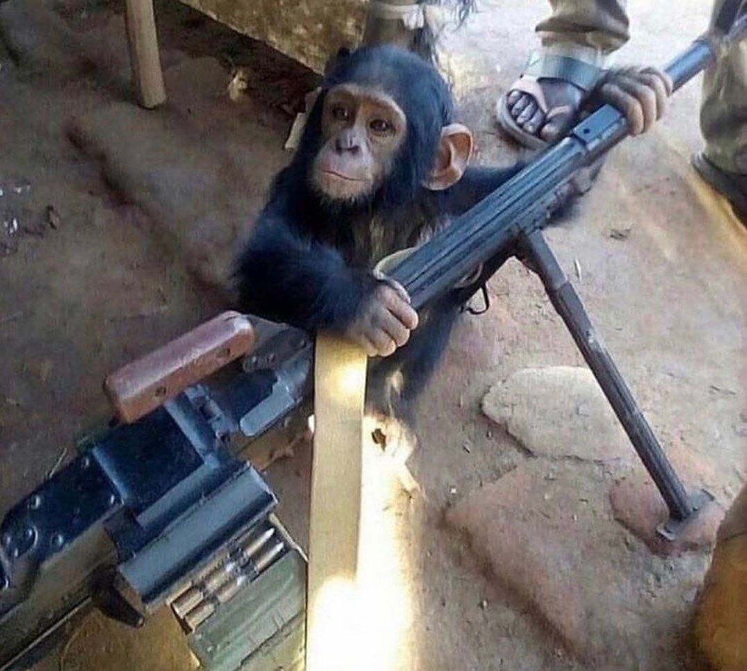 inkblotistan's tweet image. 