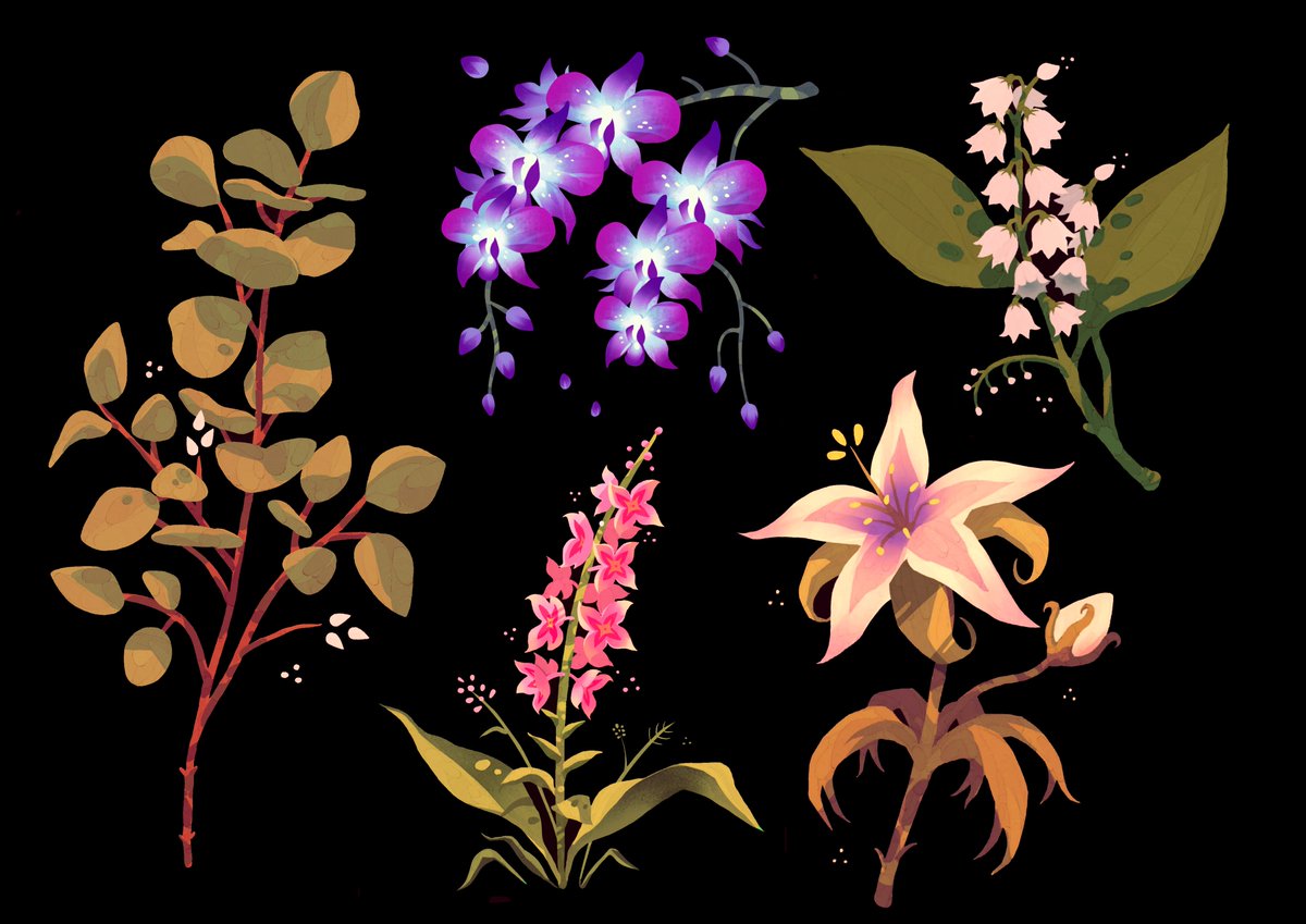 _froggily's tweet photo. a little compilation of plants 🌿🌺 https://t.co/qX2Q3RRAYL