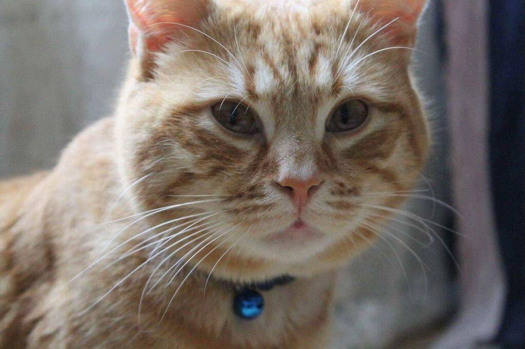 AsyaaYdm's tweet photo. 😻😻 https://t.co/fQpFu3eEEP
