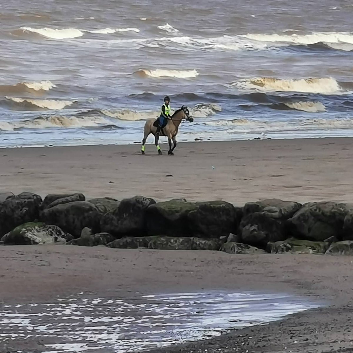 Love seeing horses on our beach ❤️ #horses #rossallbeach #Lancashire #cleveleys #animals #nature #MondayMorning #MondayVibes #August #coast #beach #fylde