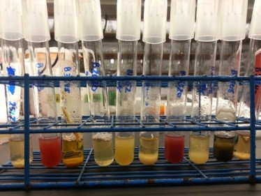 MicroMGx tweet media