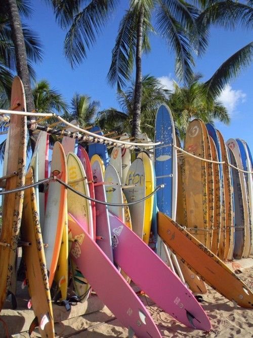 paradise