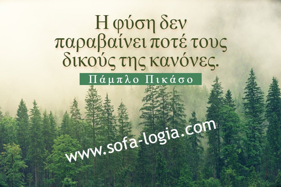 Sofa_Logia's tweet photo. Η φύση δεν παραβαίνει ποτέ τους δικούς της κανόνες.
Πάμπλο Πικάσο
#nature #foties
https://t.co/kyLPGqDCQy https://t.co/rUlXaYNqm5