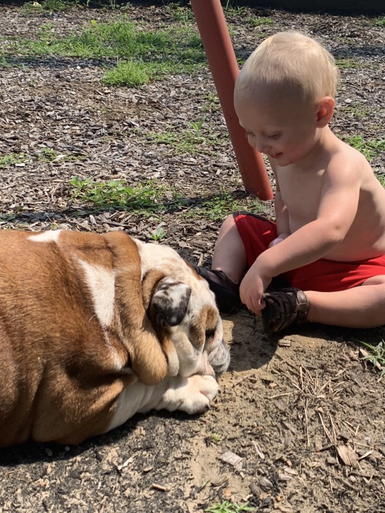 StevenHovermale's tweet photo. What I will miss about summer. The couple 💯 trips to the park. Look forward to the evenings in the fall! (Yes he’s almost sleeping. He would rather fall asleep than get pulled out of the swing) https://t.co/arzR3gQc0A
