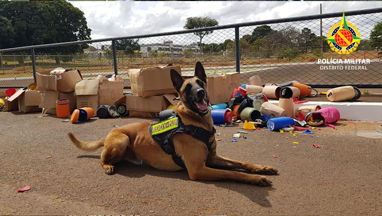 pmdfoficial's tweet photo. 534 pacotes de #maconha são encontrados na Rodoviária Interestadual, com auxilio do cão Eddy, do @BPCAESPMDF
A #droga estava escondida dentro de nove 9 caixas lacradas em 95 garrafas térmicas, esperando a sua retirada. Dois homens foram #presos em flagrante.
#pmdf #bpcaes https://t.co/qCij9Iuijz