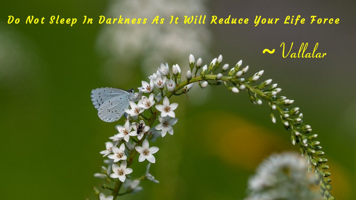 Vast Grace Light (@vastgracelight) on Twitter photo 