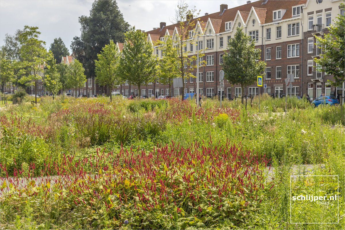 schlijper's tweet image. Houthavenpark

05.08.2021 13:21 #Amsterdam #Houthavens #Spaarndammerbuurt