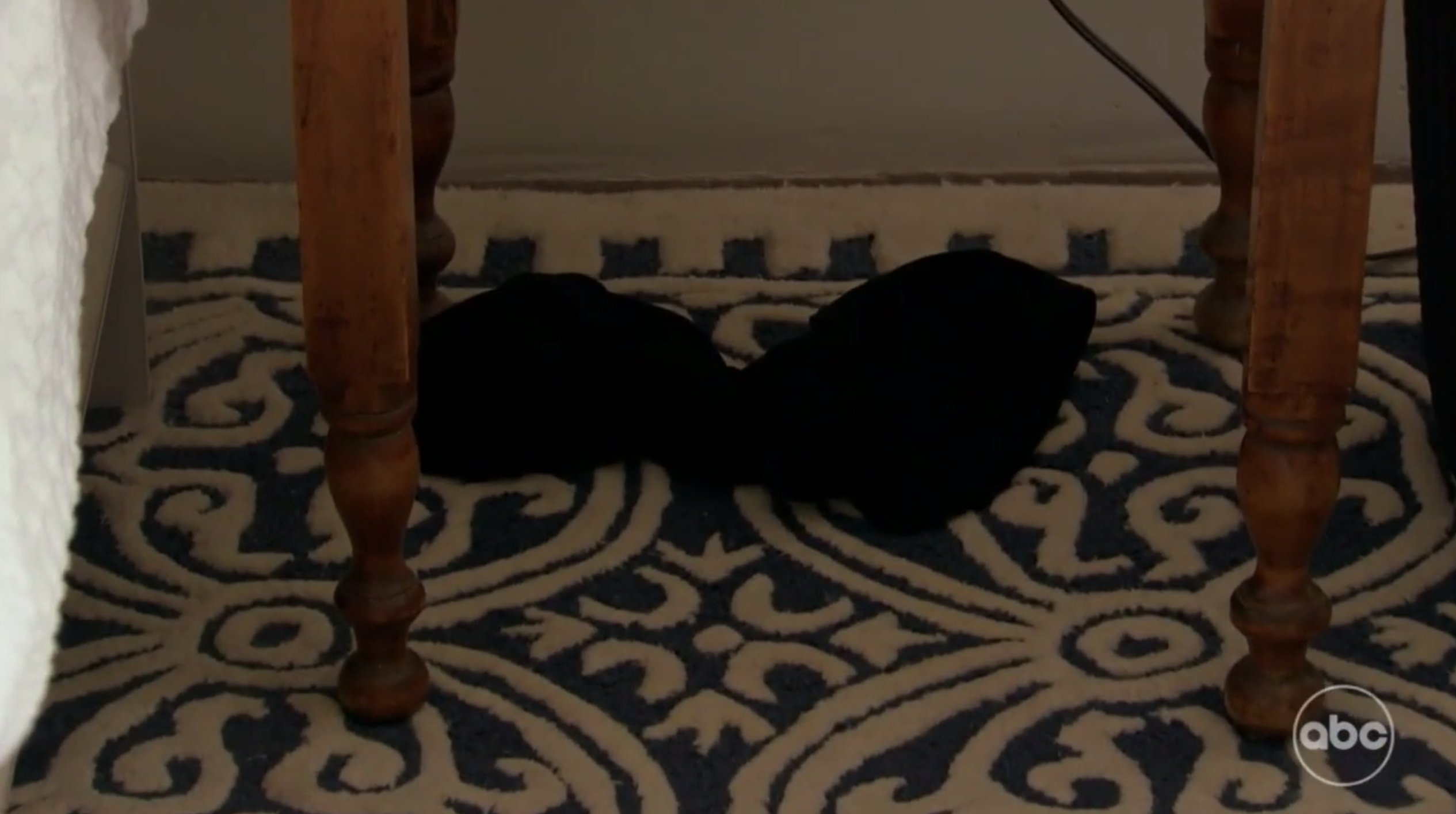 Trent on X: BRA ON THE GROUND! I REPEAT WE HAVE A BRA ON THE GROUND! SEX!  #TheBachelorette  / X