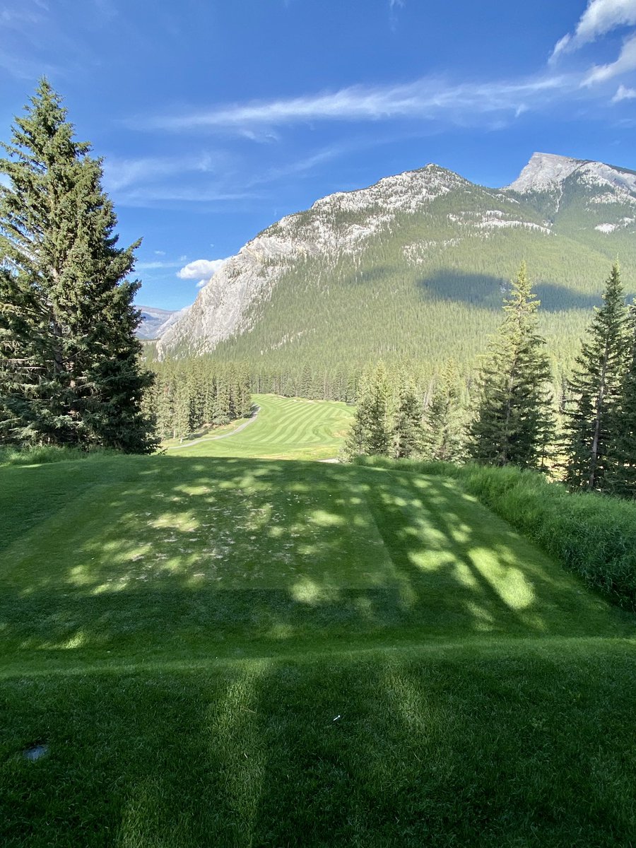 Luke Elvy tweet media