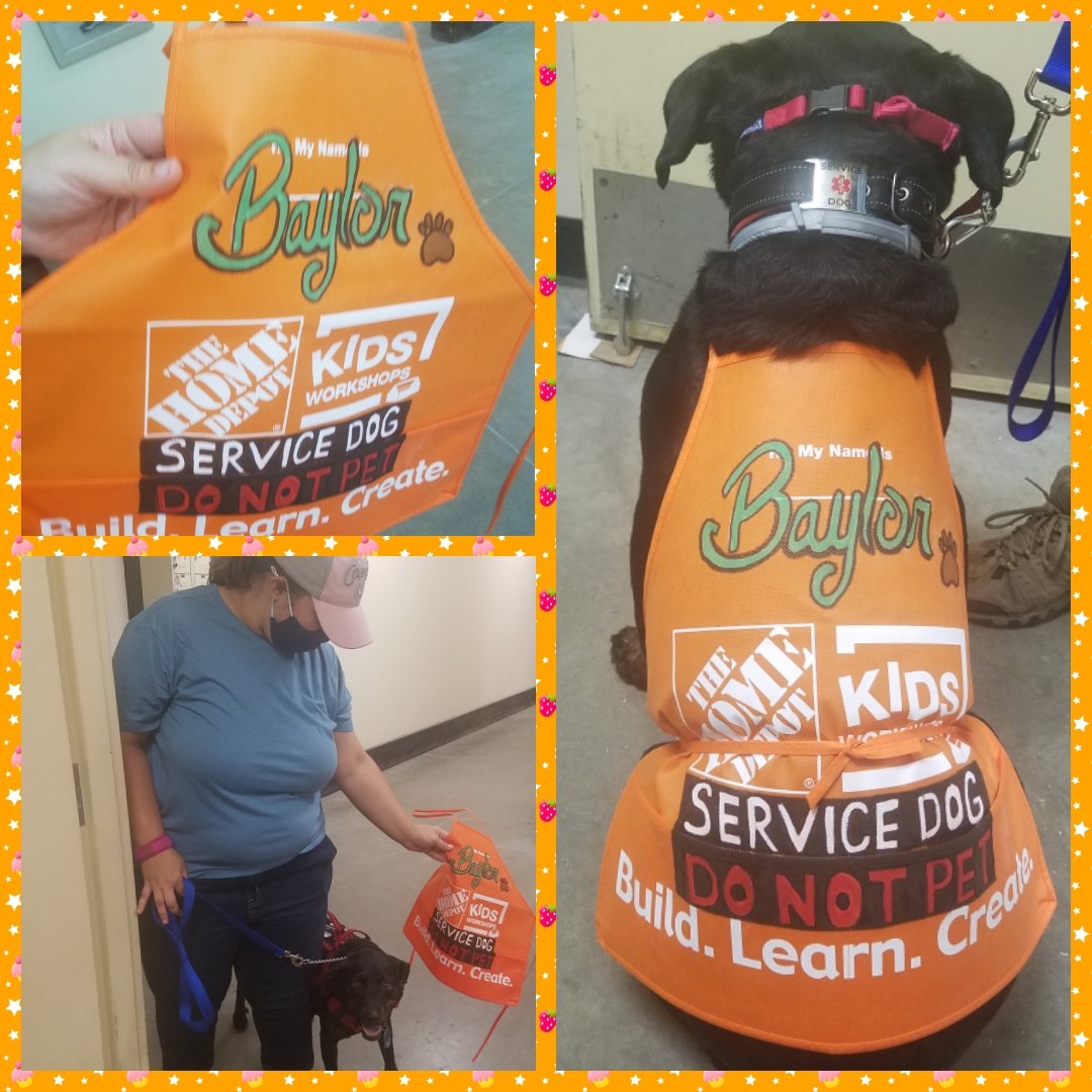 PatriciaTX4ever's tweet photo. He's official now! Baylor is a #servicedog for one of our associate and he has his #firstapron He sure looks good in orange @KaseyCardenas77 @roxinursox @LMcmilian @jreed4401 https://t.co/Bj6nJGxcQy