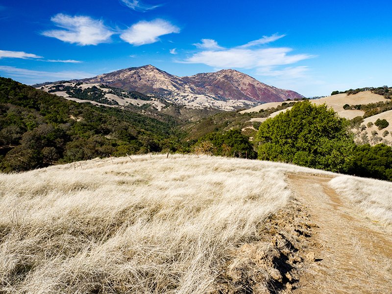 CALPELRA's tweet photo. Contra Costa Water District posted an opening - Human Resources Supervisor - on CALPELRA's Job Board.
#PublicSectorJobs #HRJobs #HRSupervisor #HumanResourcesJobs
https://t.co/mCQPtDCCqW https://t.co/9ZVbSWhsJV